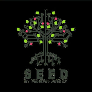 Seed – Ayoub Habcy